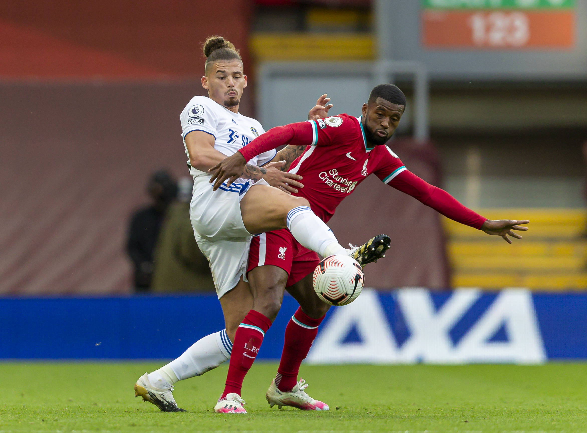 部收集更详 部收集更详