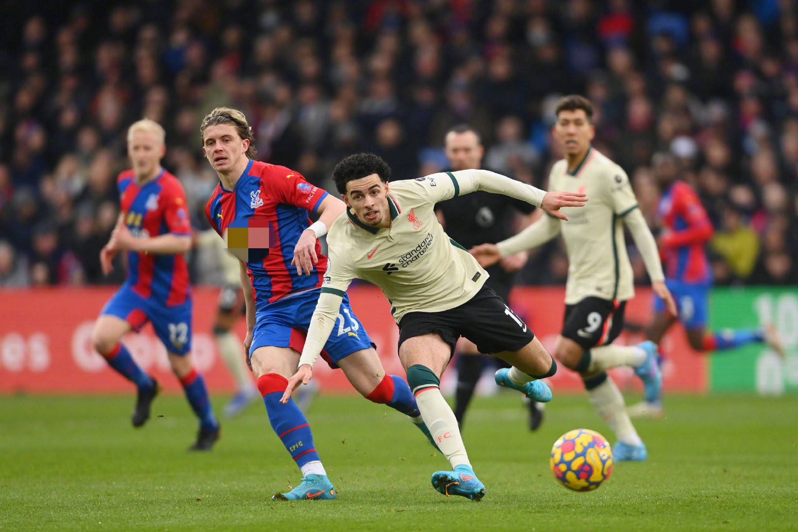 而费利佩的 而费利佩的